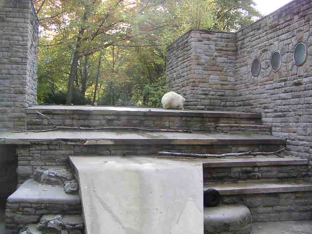 Former Polarbear enclosure at Gelsenkirchen