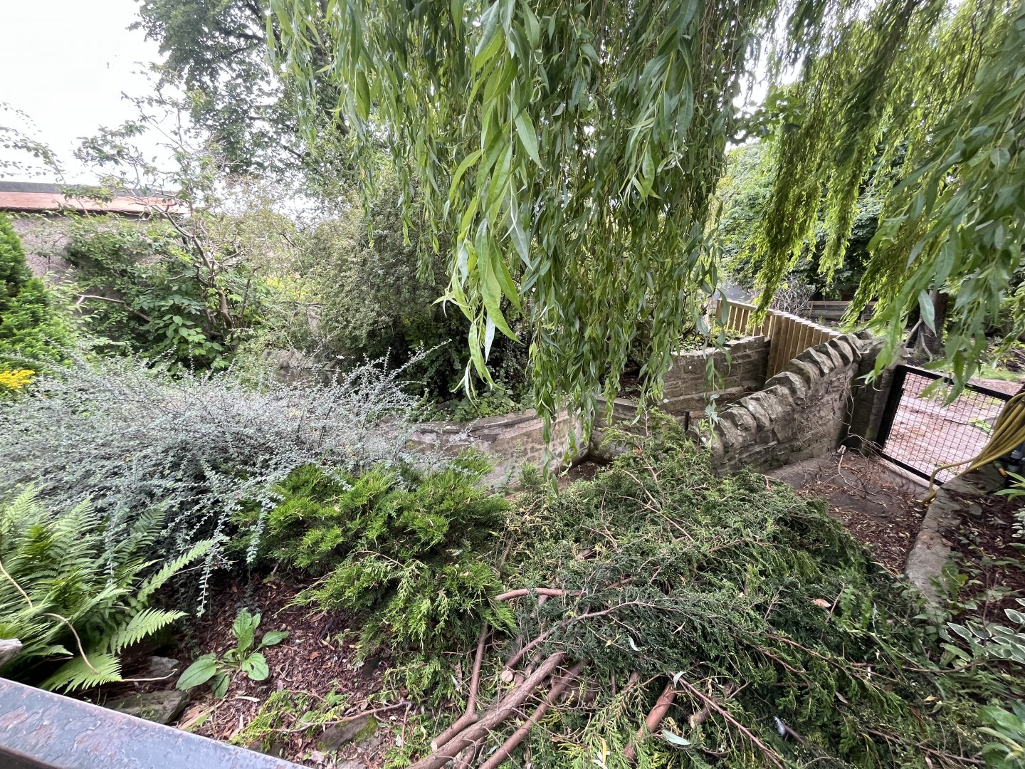 Former pool for Malayan tapir 17.7.23