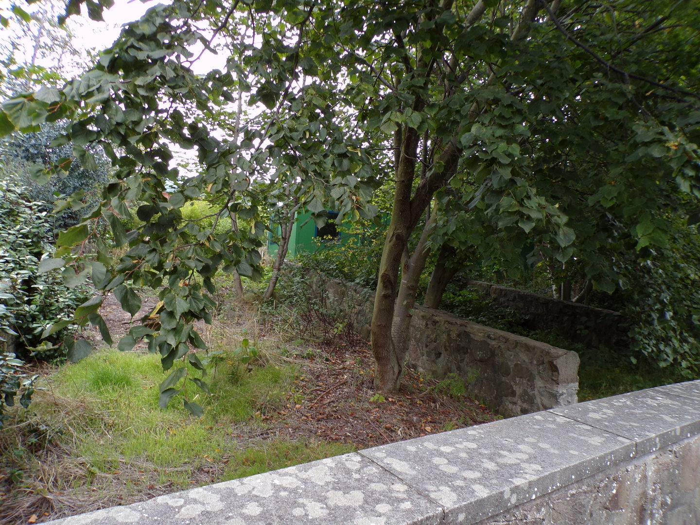 Former pudu enclosures