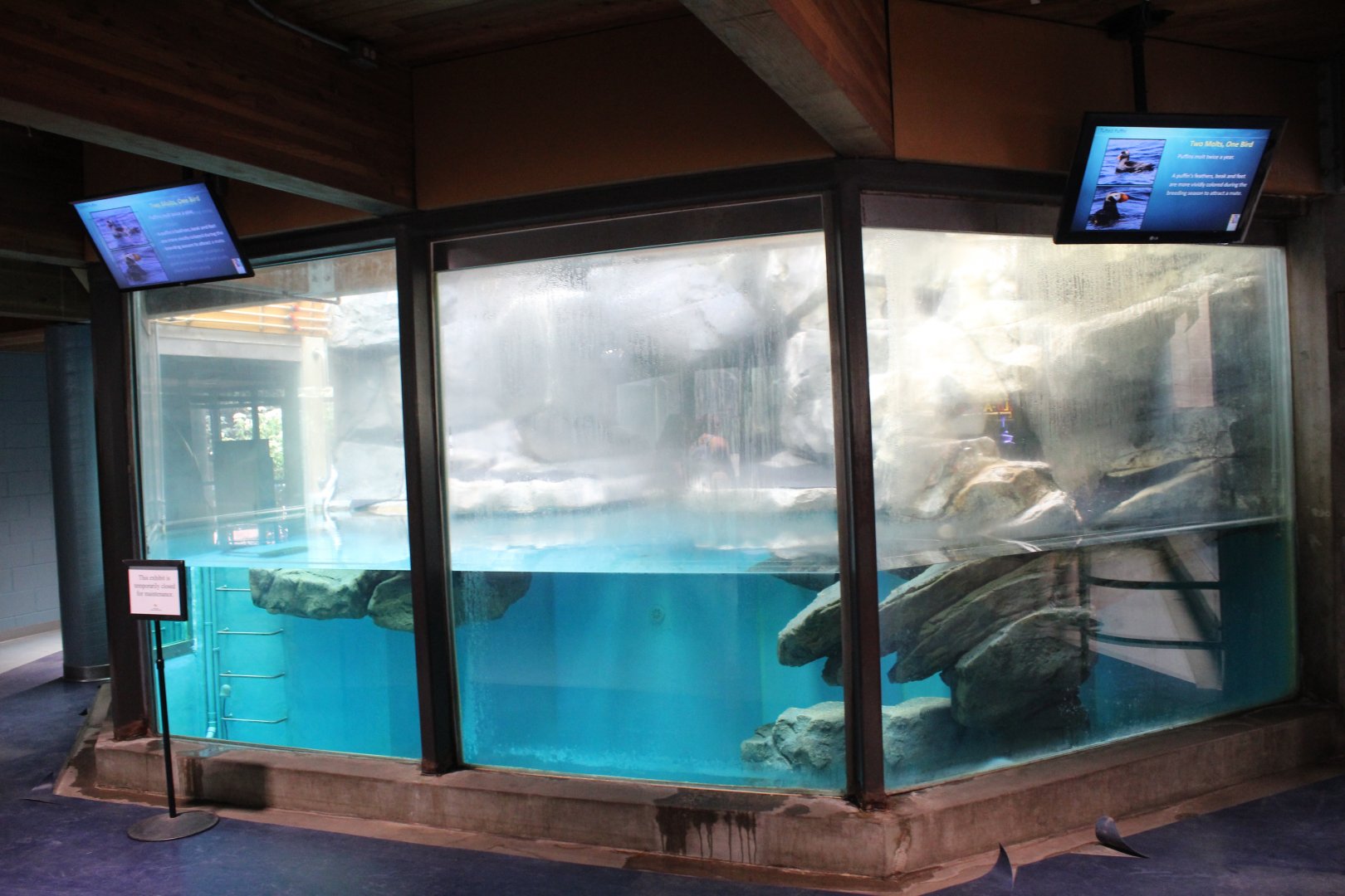Former Puffin Exhibit - Aquatics Building