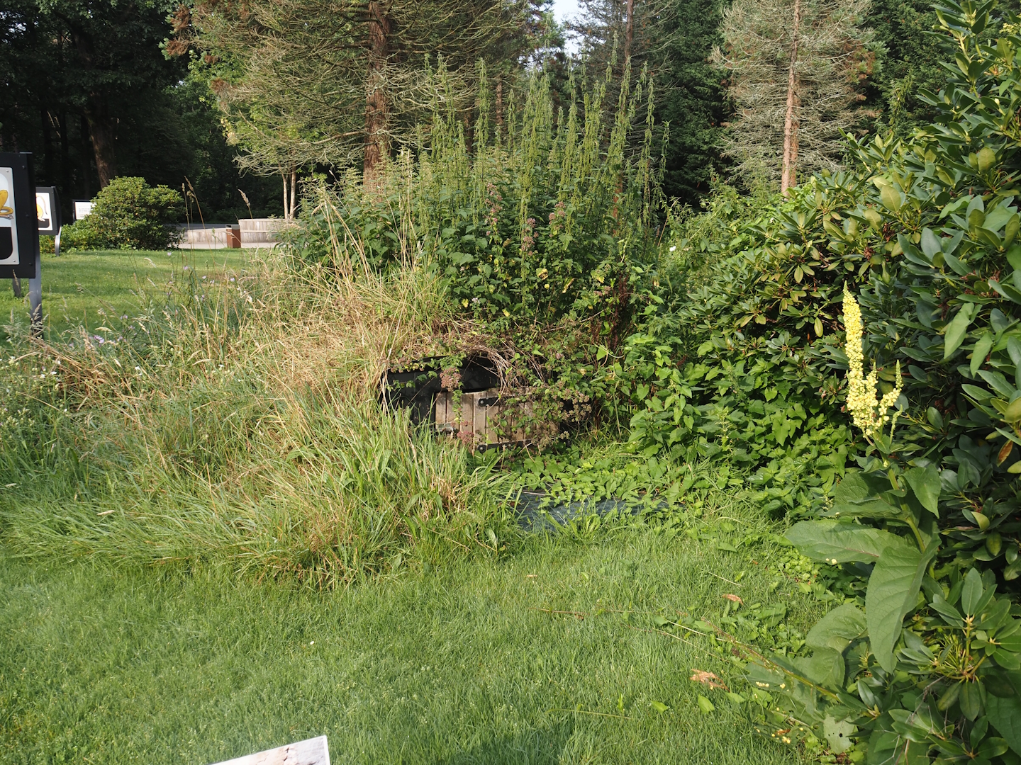 Former pumping cellar now transformed into a bat hibernaculum, 2024-08-18