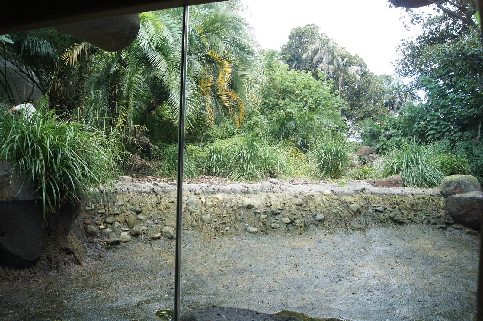 Former Pygmy Hippo Exhibit Renovations