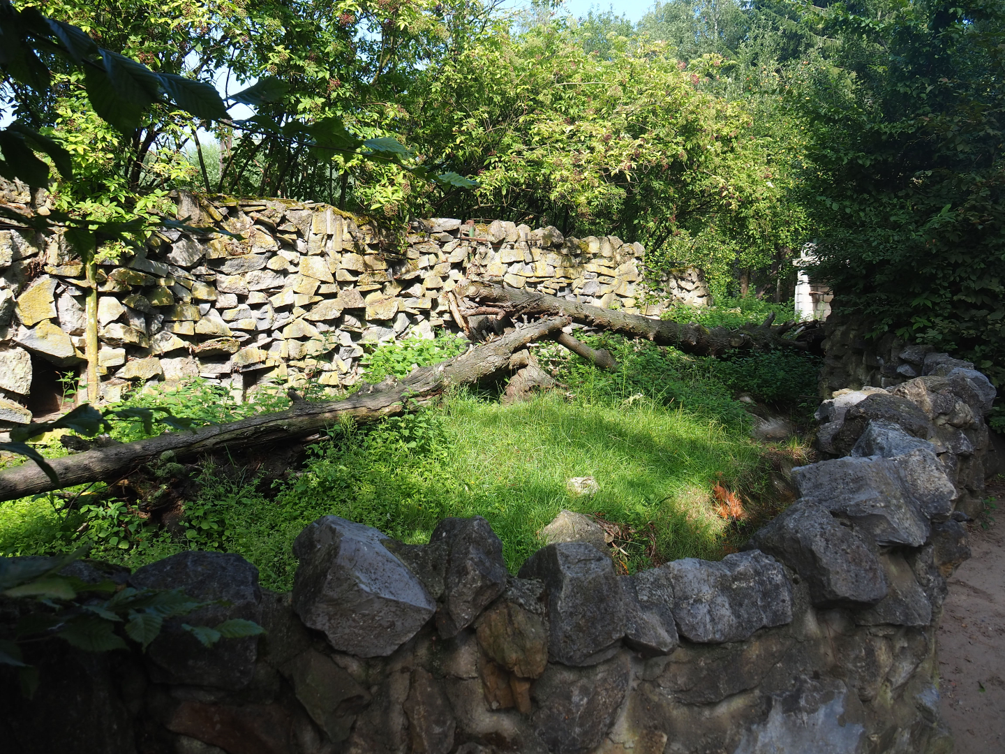 Former raccoon exhibit, now empty, 2019-08-11