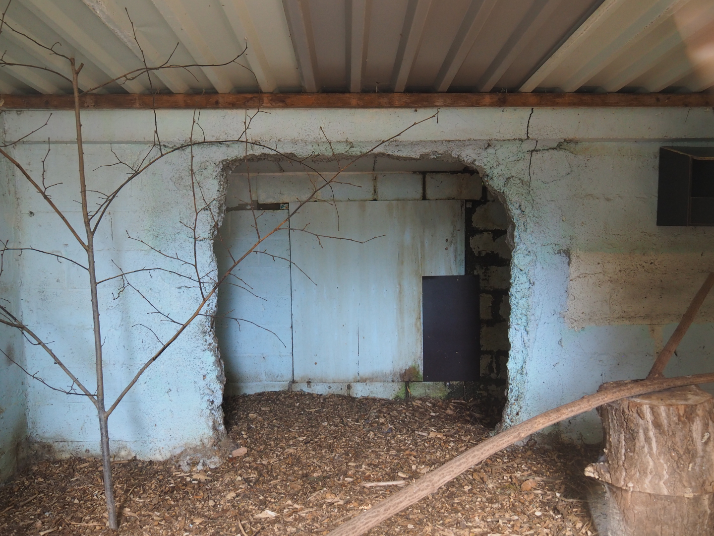 Former raccoon indoor housing, now empty, 2019-08-11