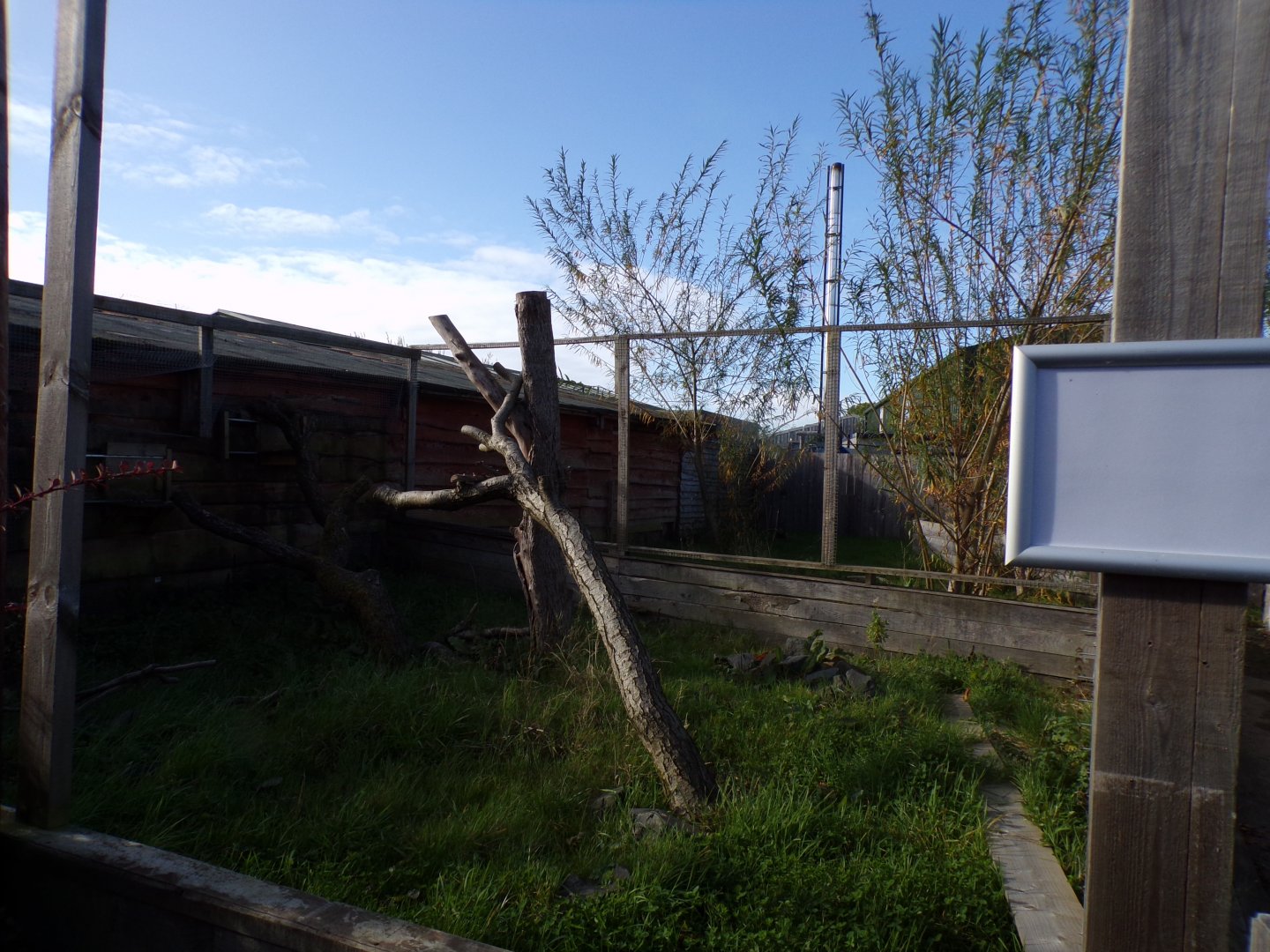 Former rainforest house outdoor enclosures 14.10.23