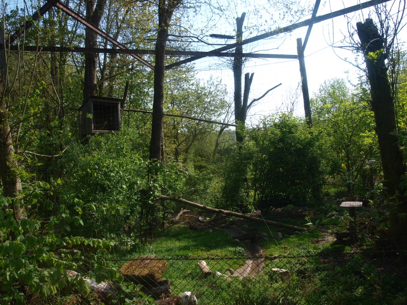 Former raven aviary - Now sacred ibis (May 2nd, 2015)