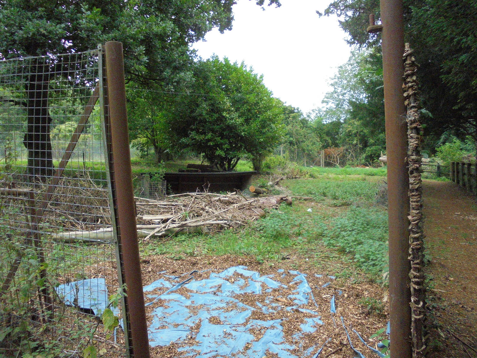 Former Red-Crowned Crane enclosure 2015.