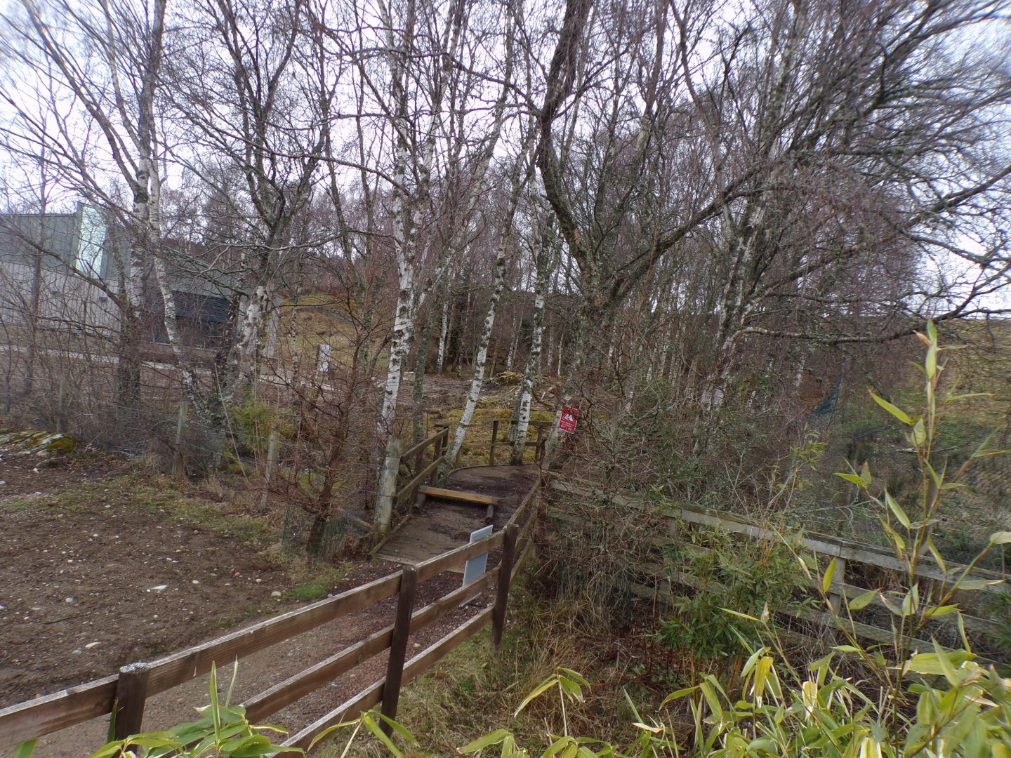 Former red panda enclosure 5.4.24