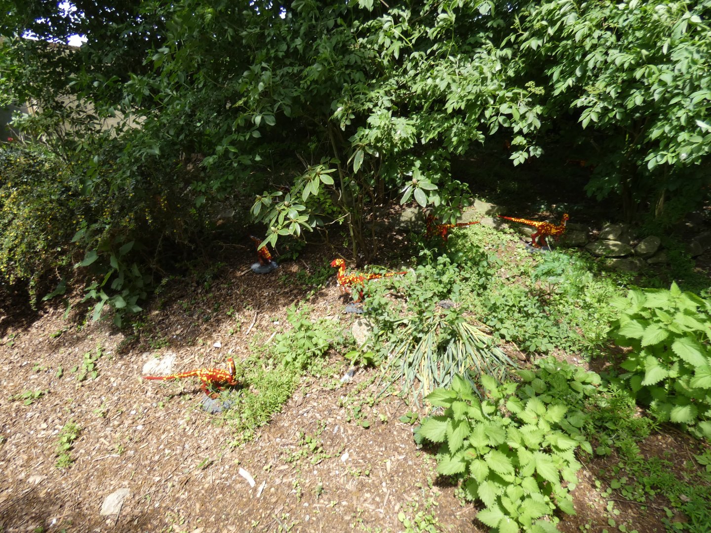 Former red panda enclosure