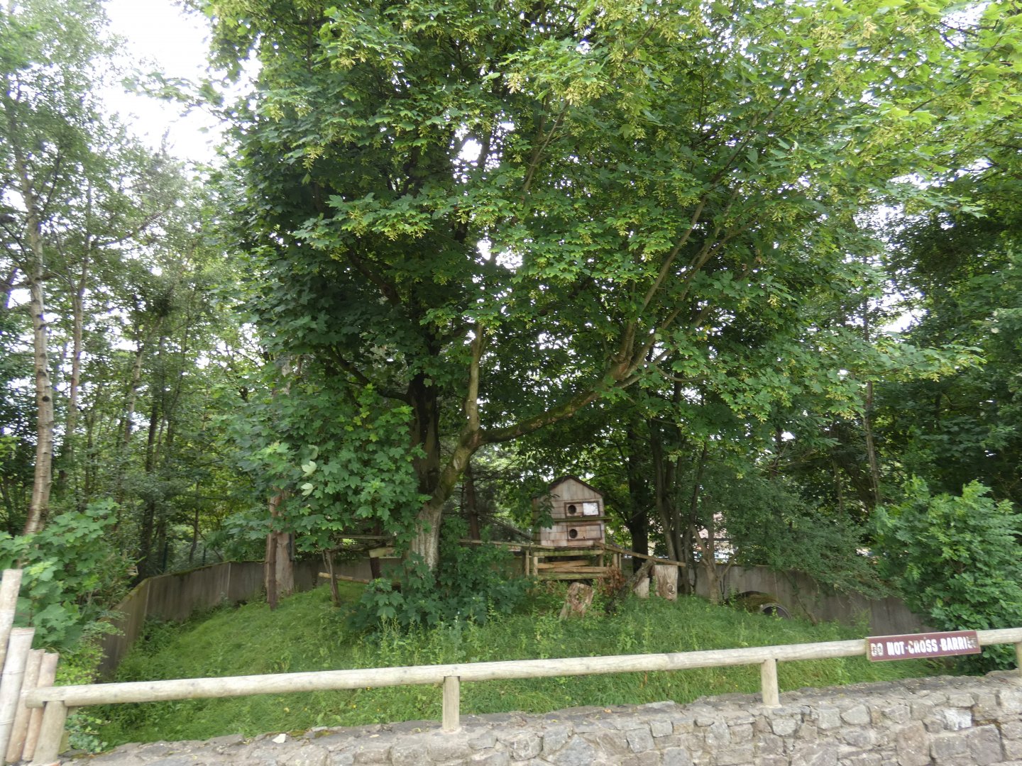 Former Red panda enclosure