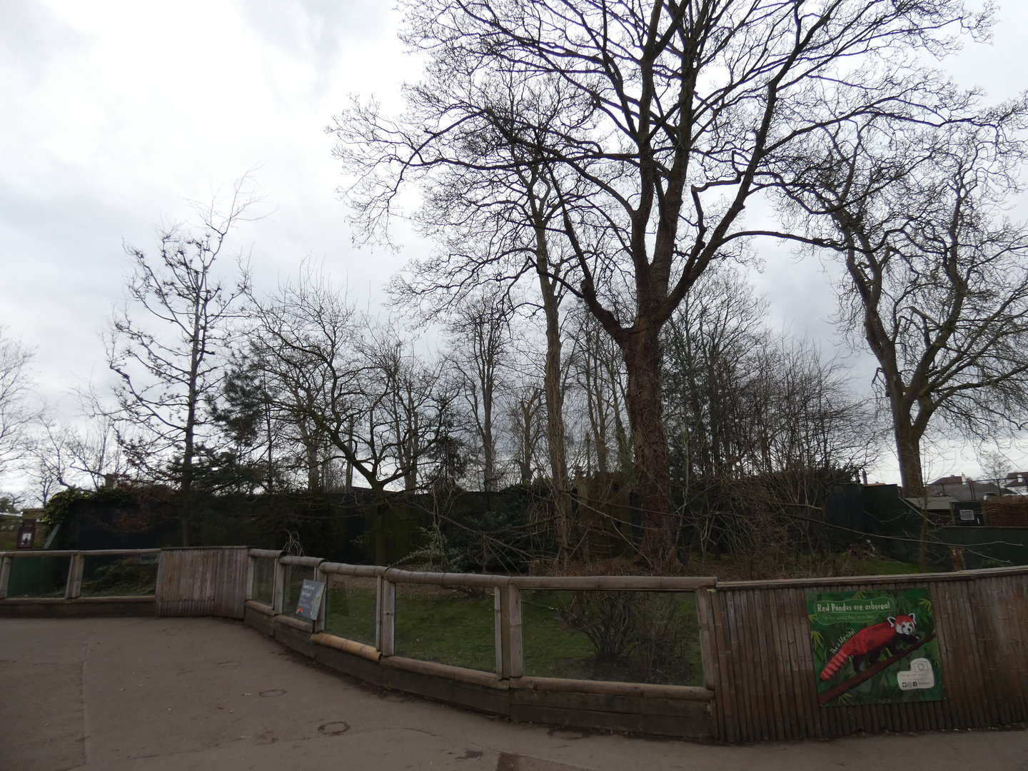 Former Red panda enclosure