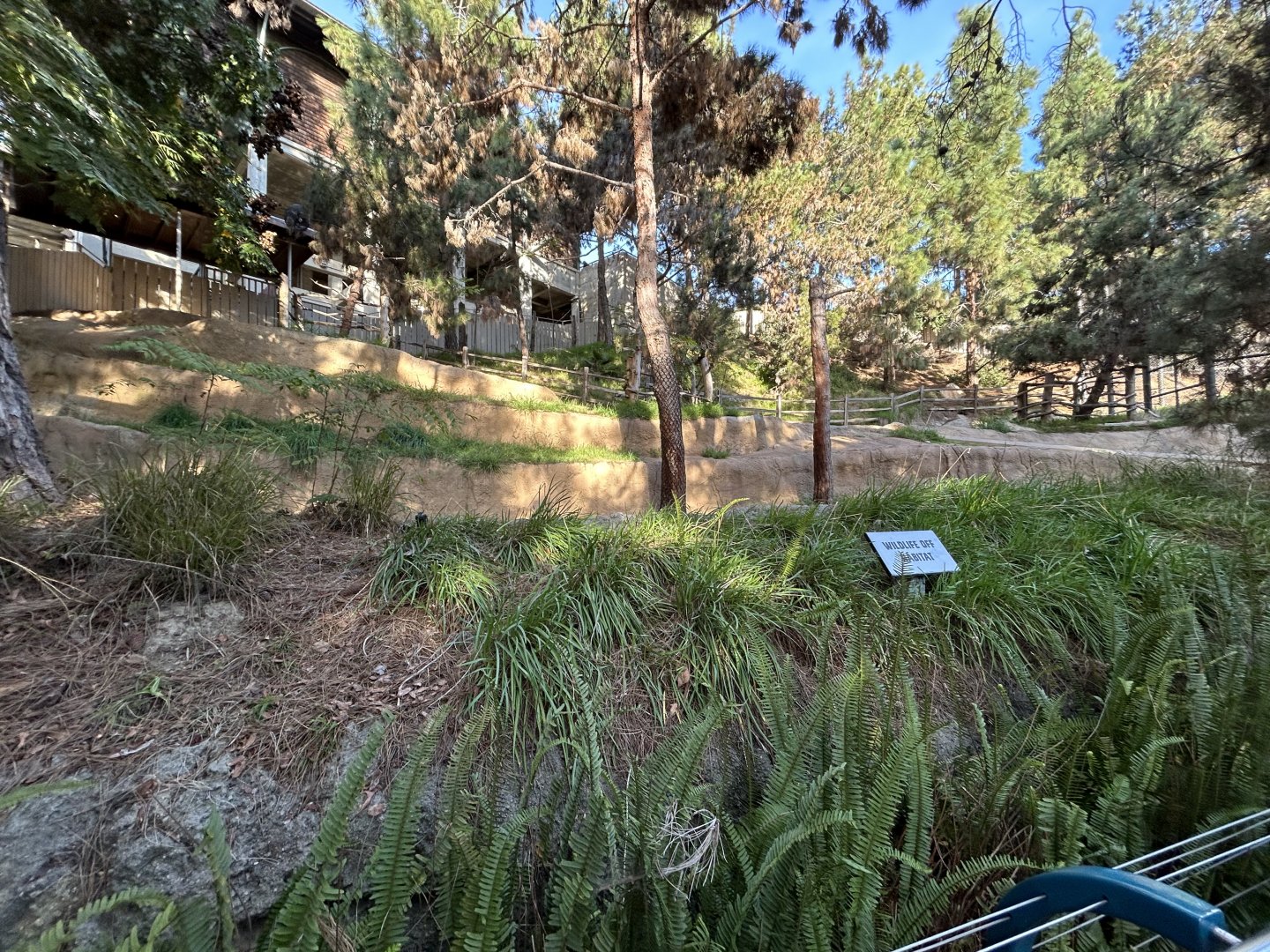 Former Reindeer Exhibit - Polar Plunge