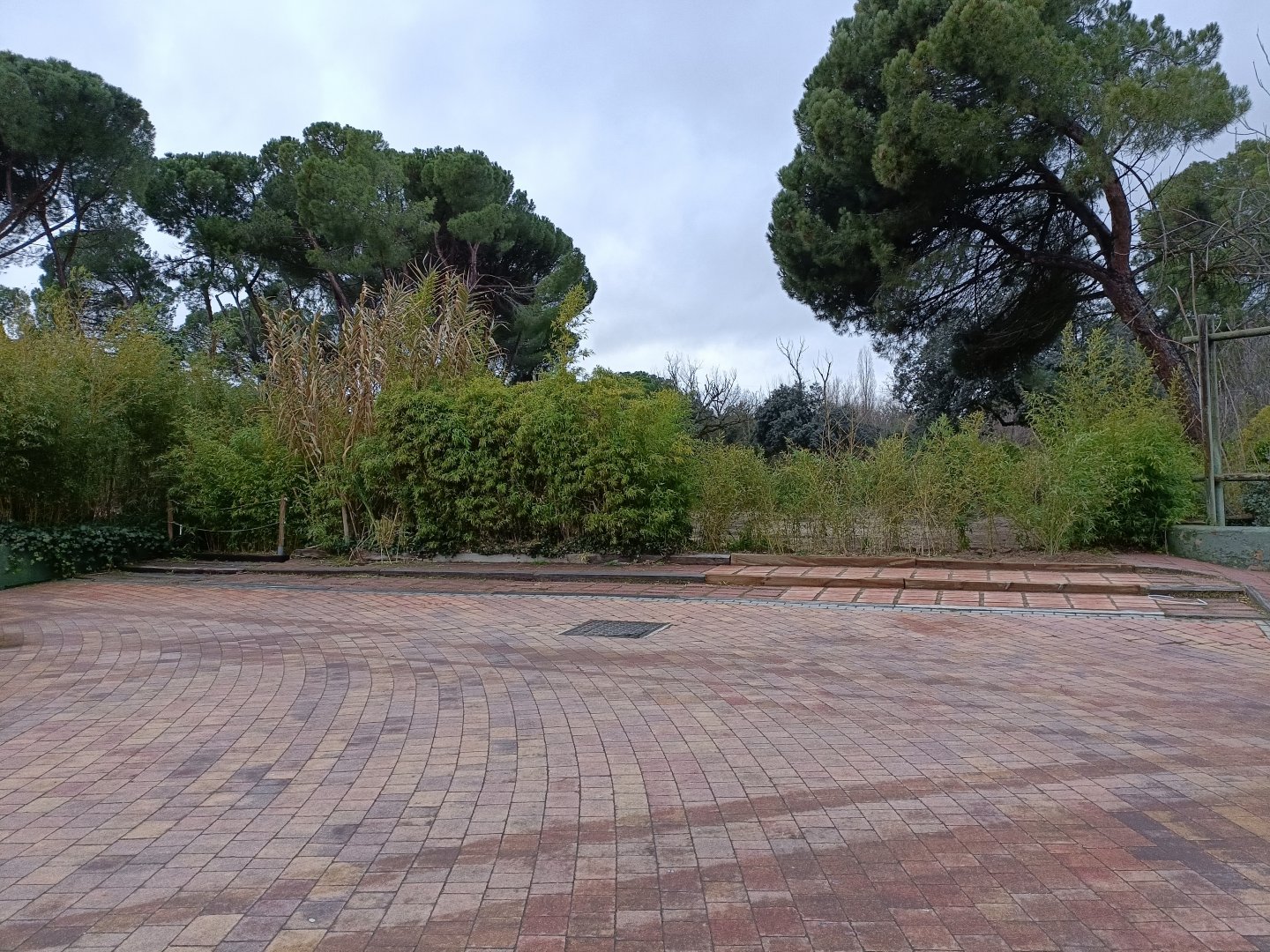 Former reptile house site