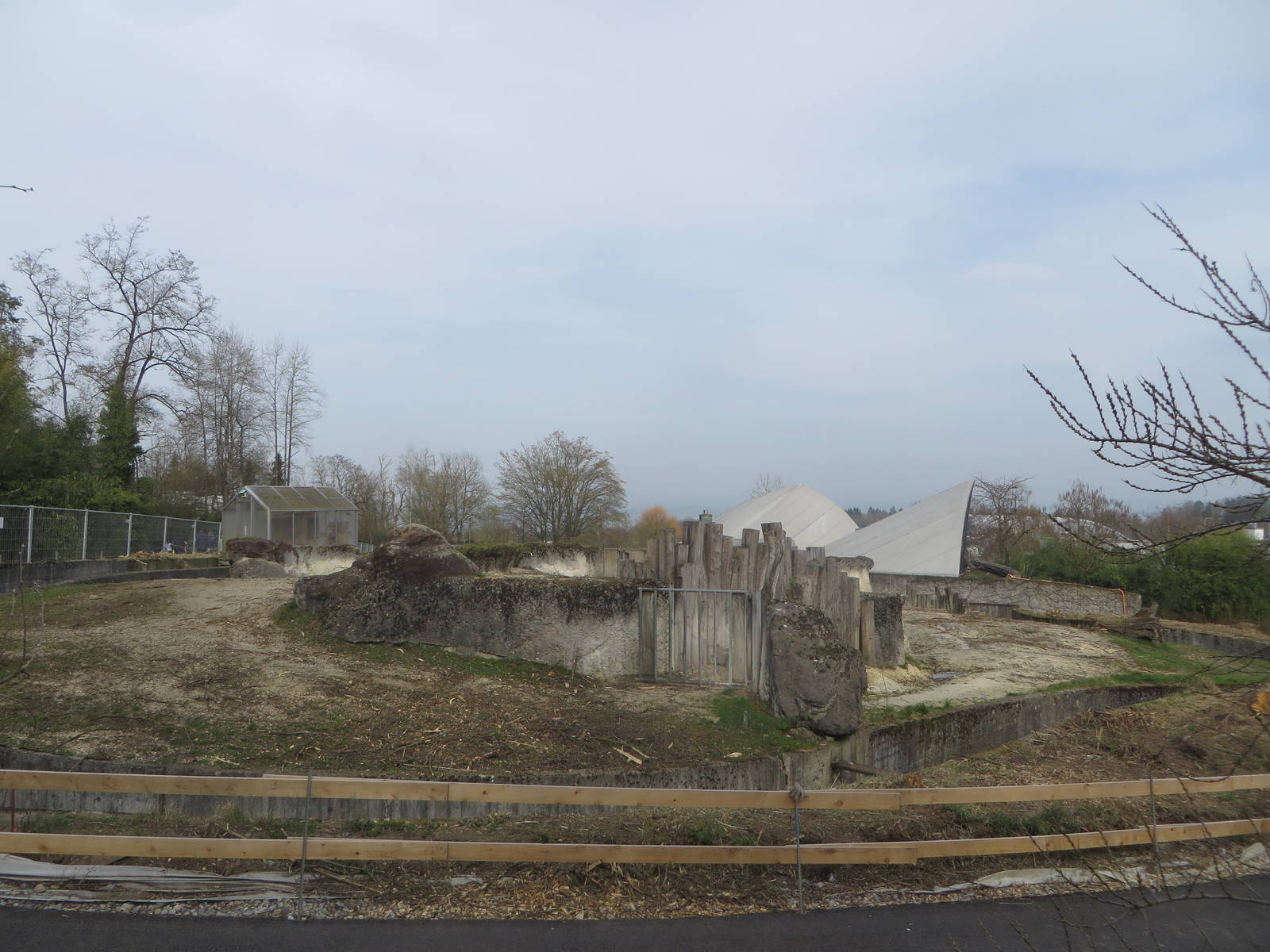 Former rhino outdoors