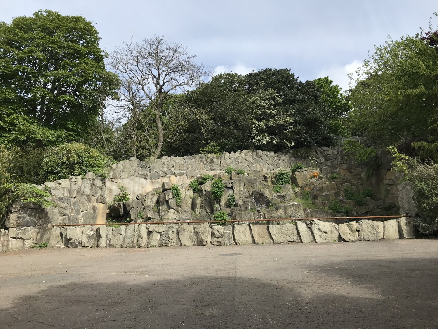 Former rock hyrax/barbary ape enclosure