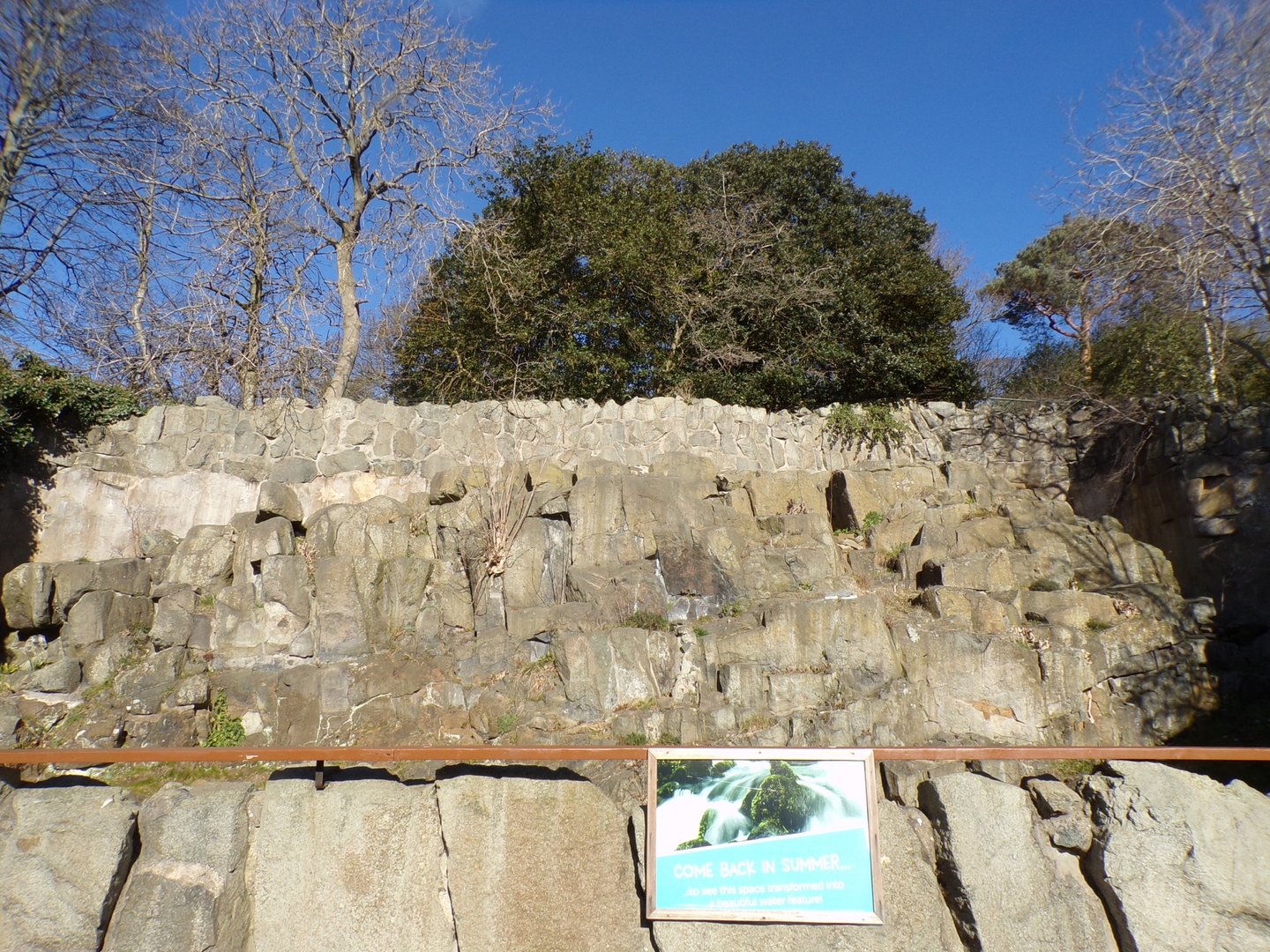 Former rock hyrax/ barbary rock  11.3.23