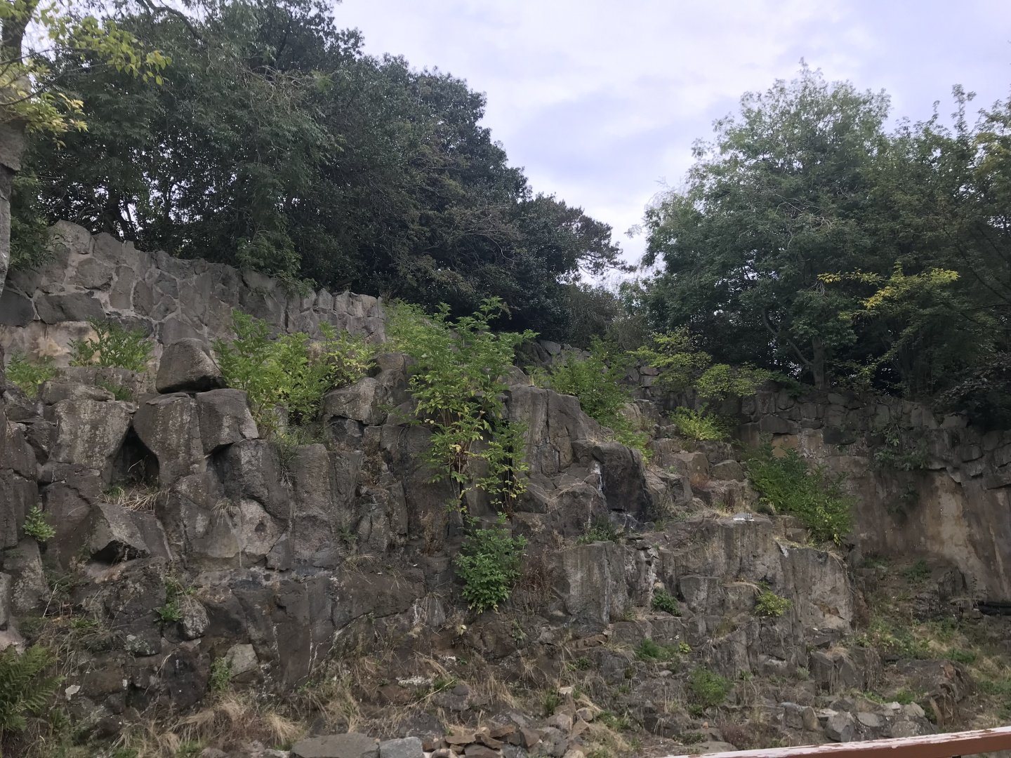 Former rock hyrax enclosure