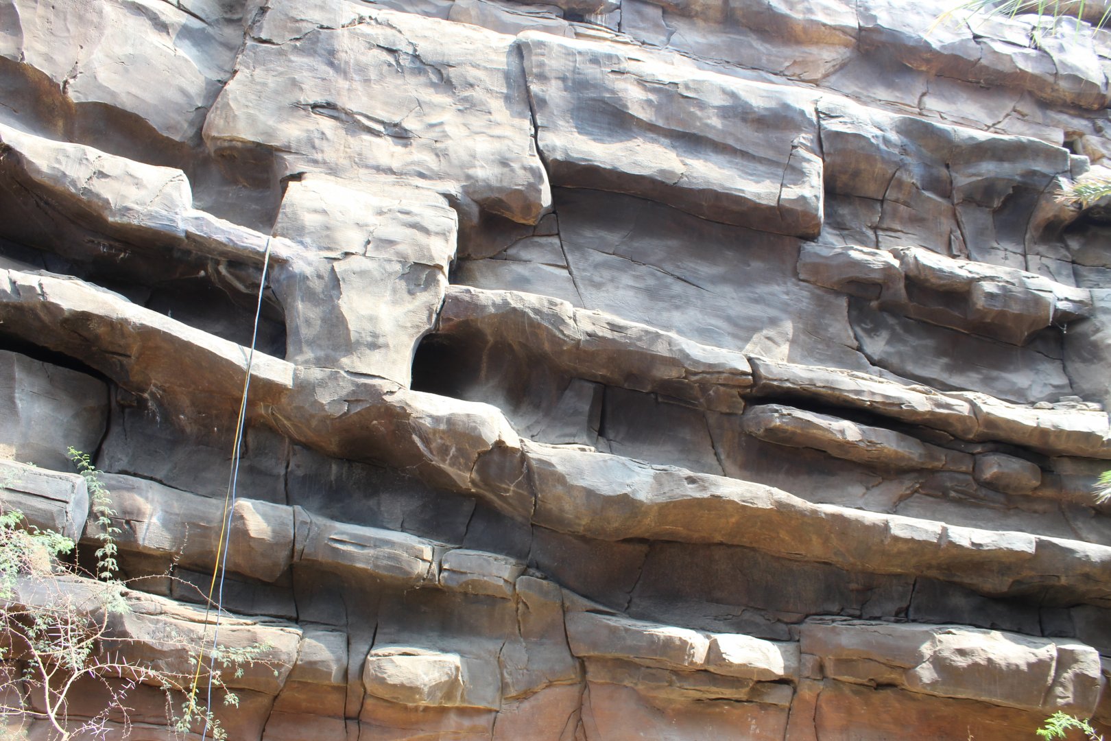 Former Rock Hyrax Ledges - Desert Dome