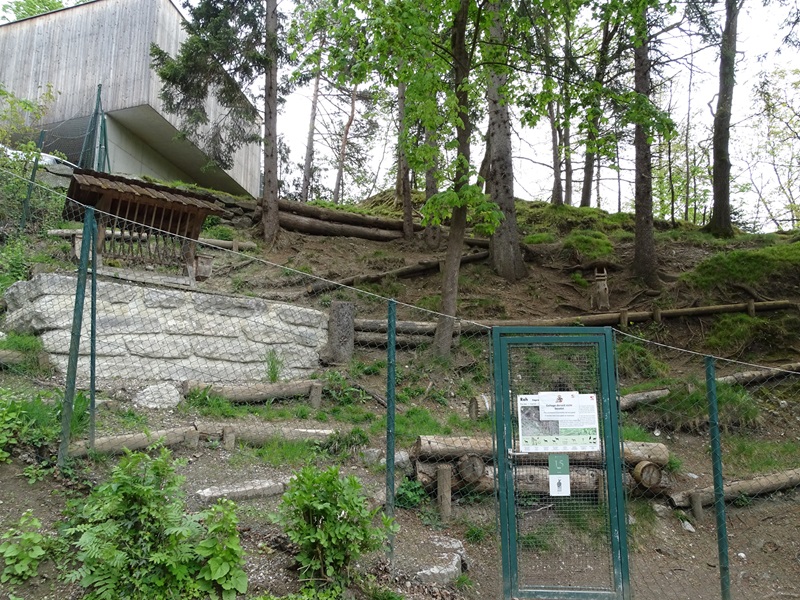Former roe deer enclosure