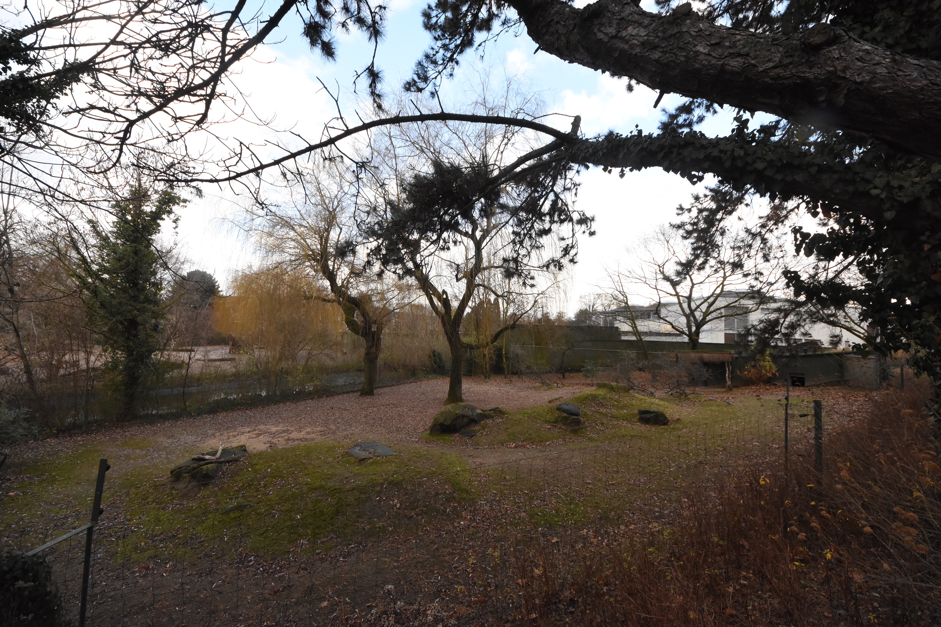 Former saiga enclosure