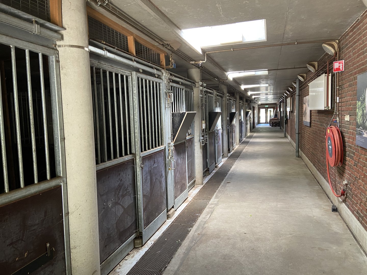 Former scimitar-horned oryx housing