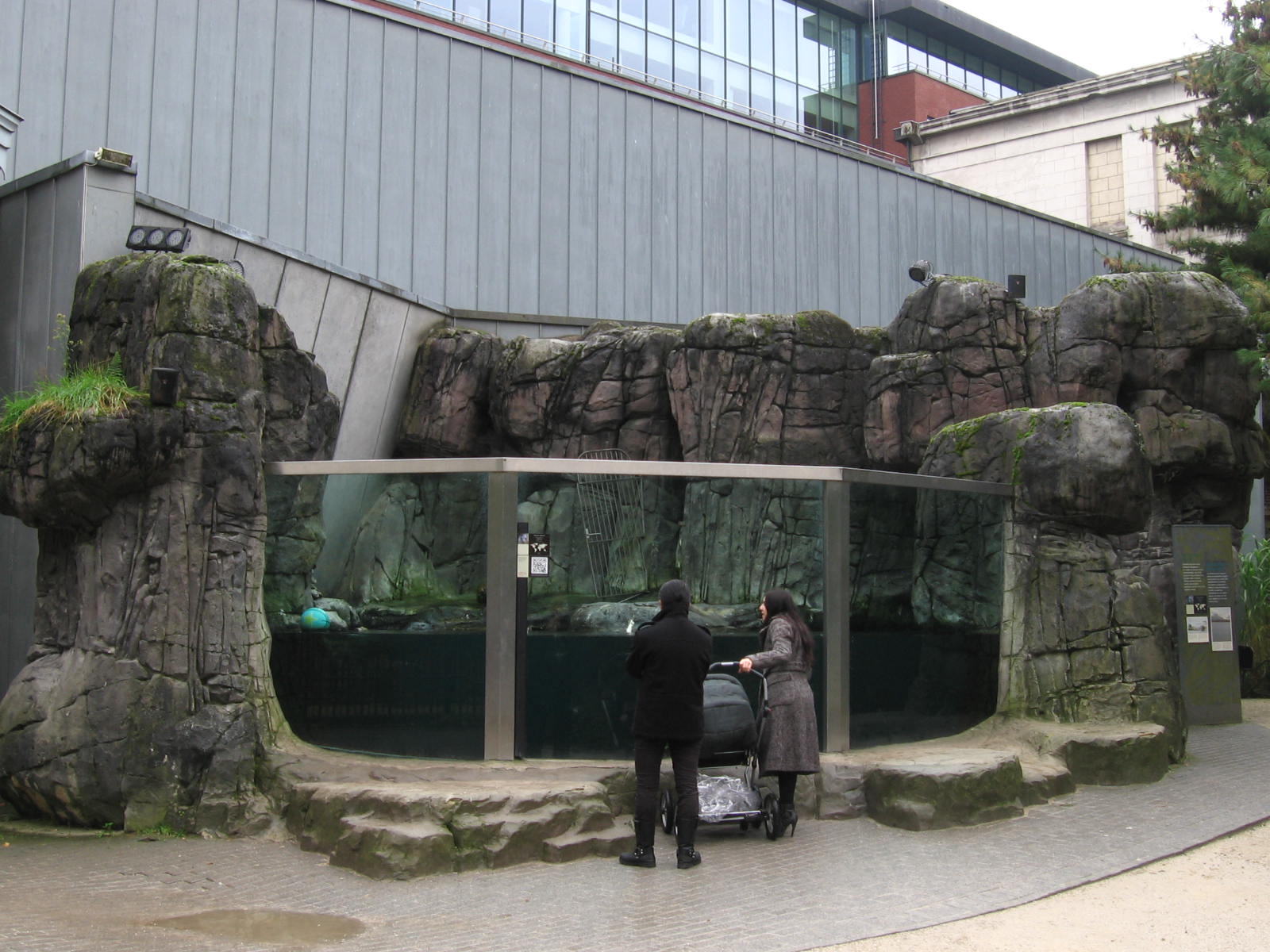 former sea otter pool