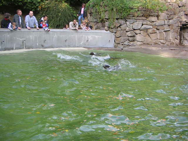 Former seal pool at Gelsenkirchen