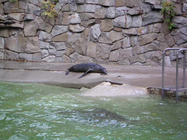 Former seal pool at Gelsenkirchen
