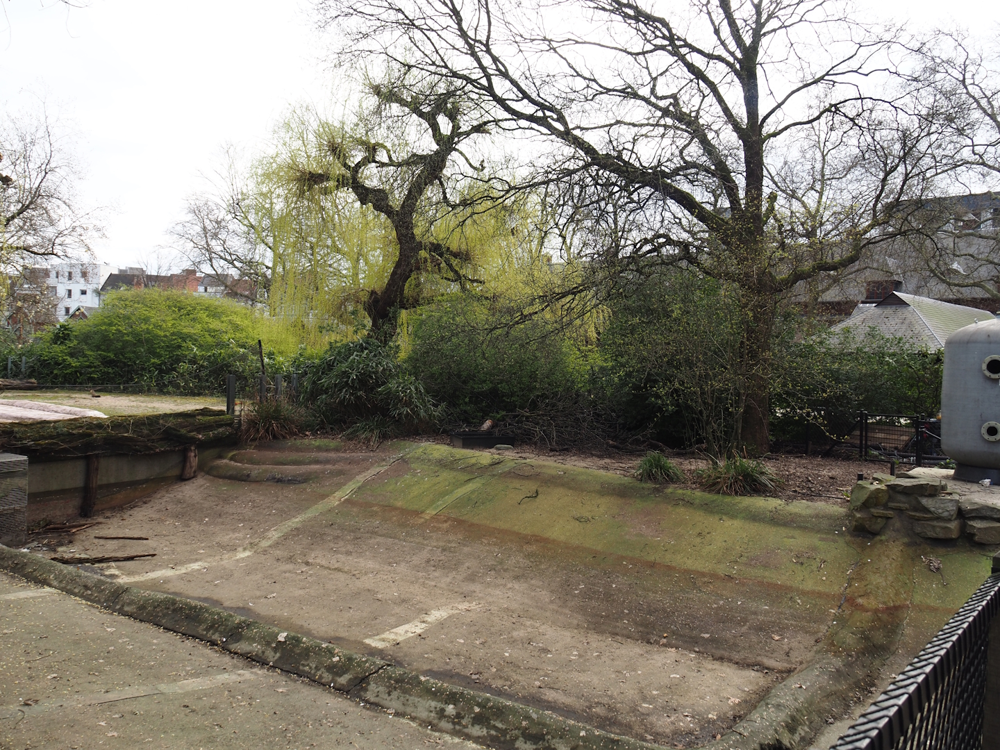 Former seal pool, intended to be used for pelicans again, undergoing renovation, 2024-03-09