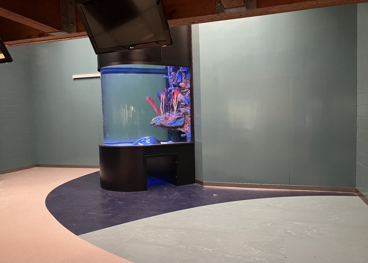 Former Seal/Sea Lion Indoor Exhibit