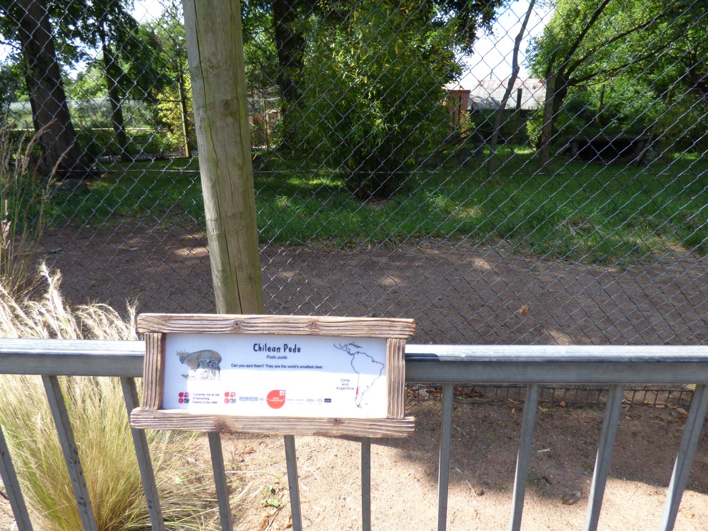 Former Serval and Cheetah enclosure now holding Pudu