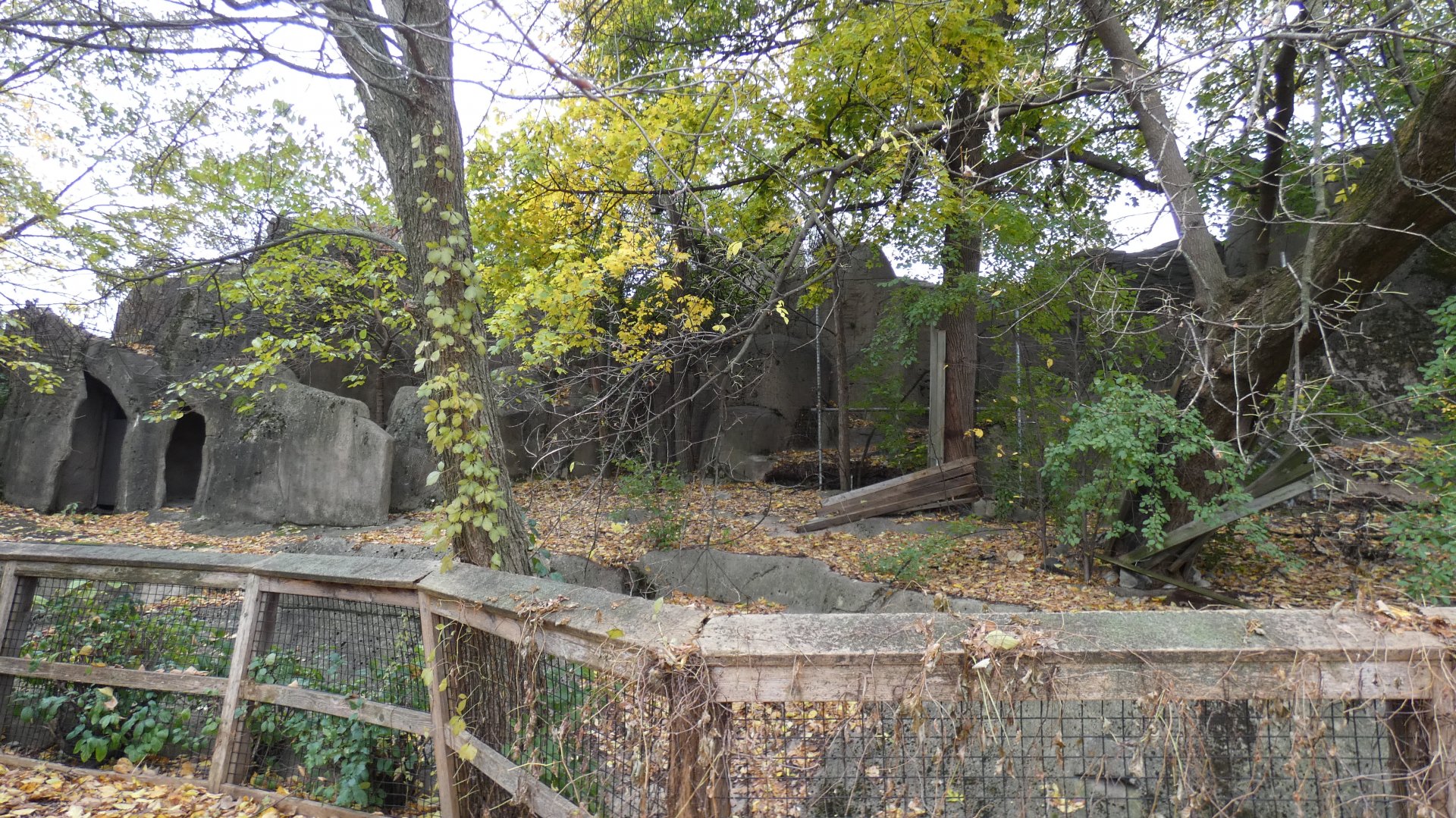 Former Sheep Ridge - Nov. 2021