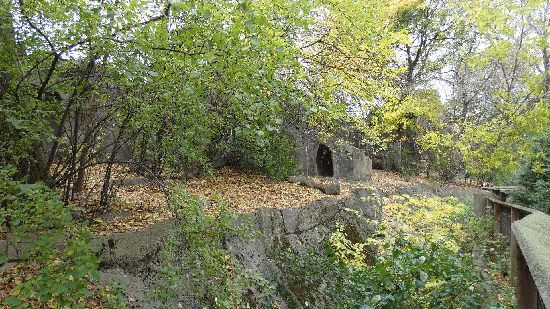 Former Sheep Ridge - Nov. 2021