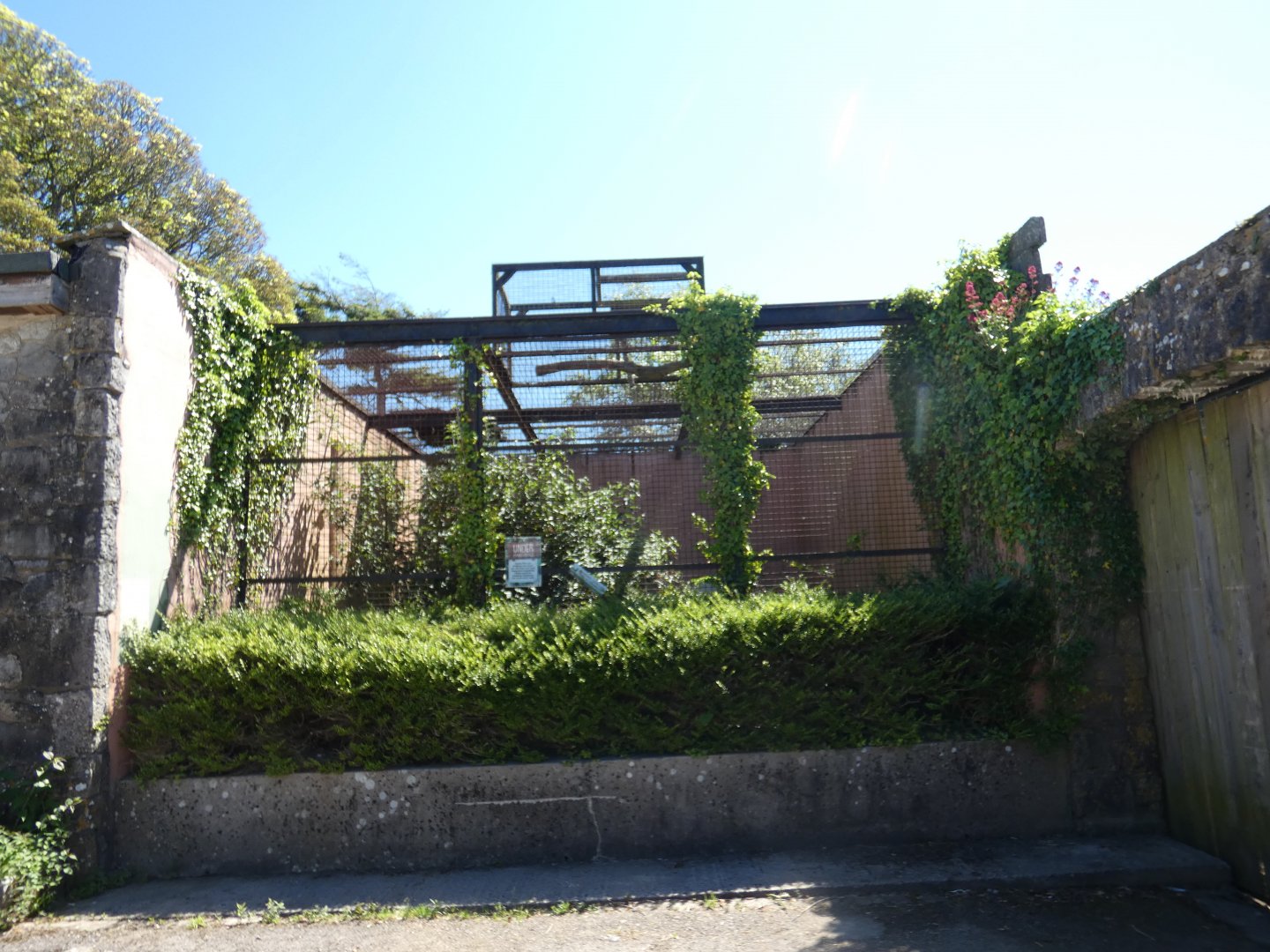 Former Siamang/Chimp/Macaw enclosure