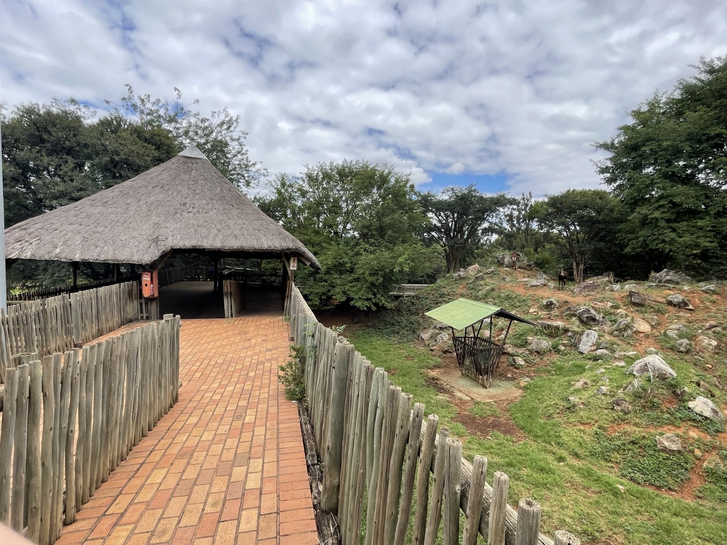 Former Sichuan Takin Exhibit (Budorcas taxicolor tibetana)  Now Sable Antelope (Hipotraggus niger)