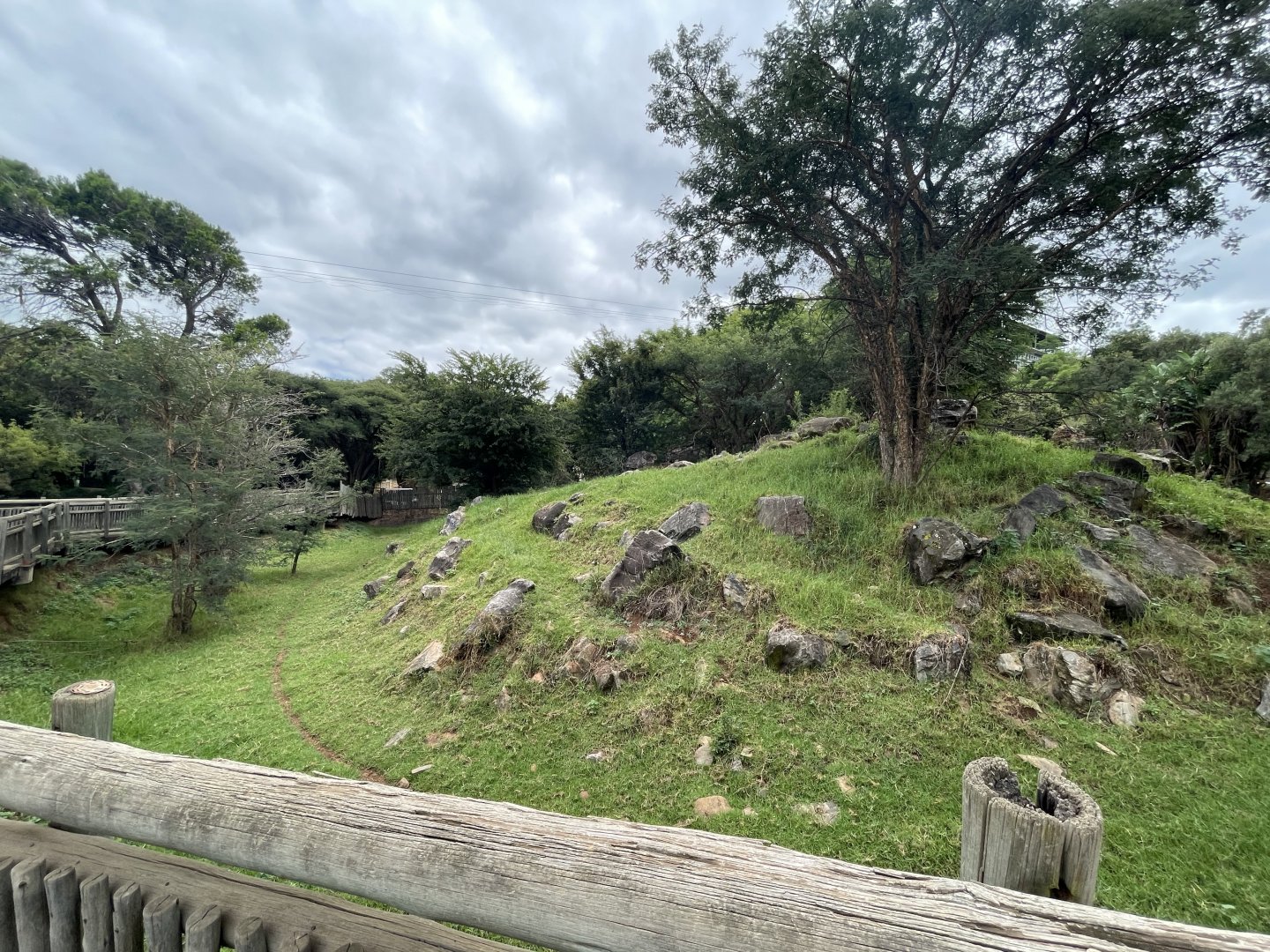 Former Sichuan Takin Exhibit (Budorcas taxicolor tibetana)  Now Sable Antelope (Hipotraggus niger)