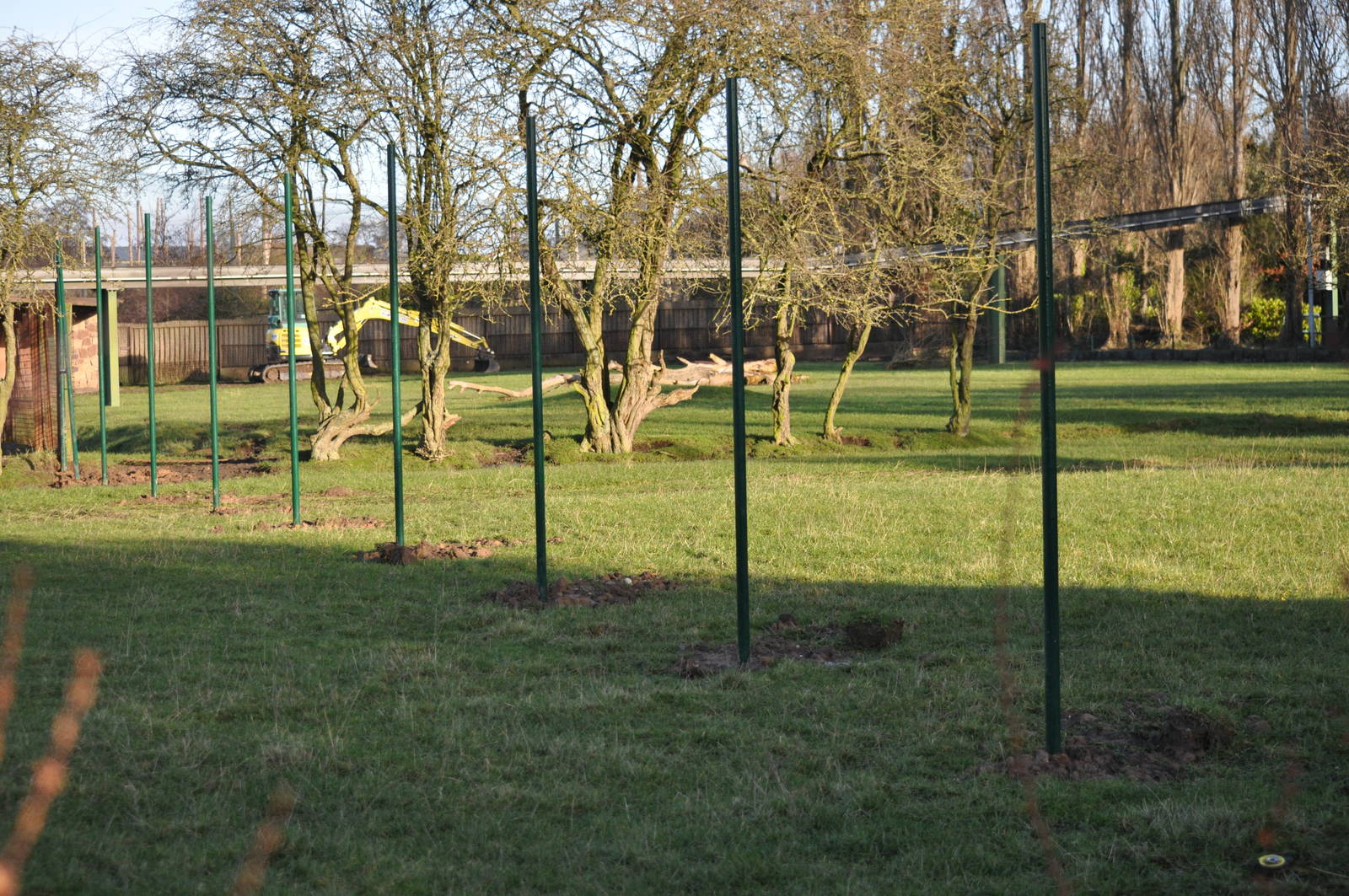 Former Sitatunga/Gemsbok Enclosure Changes
