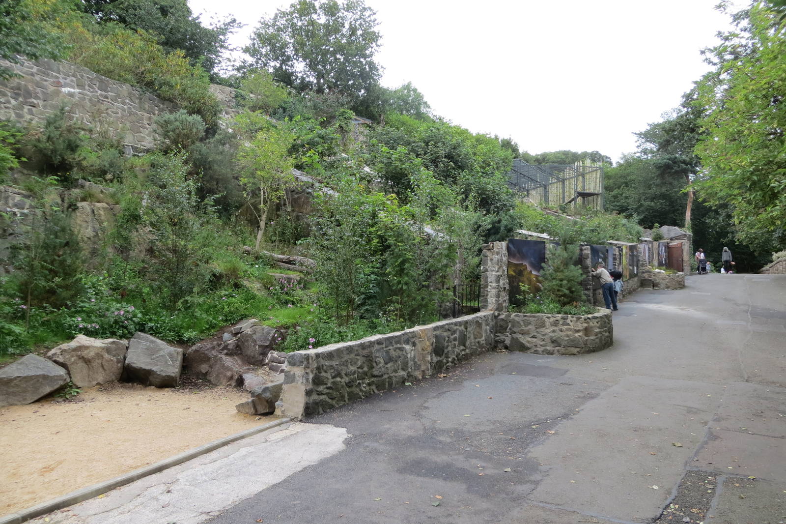 Former site of cat enclosures 240815