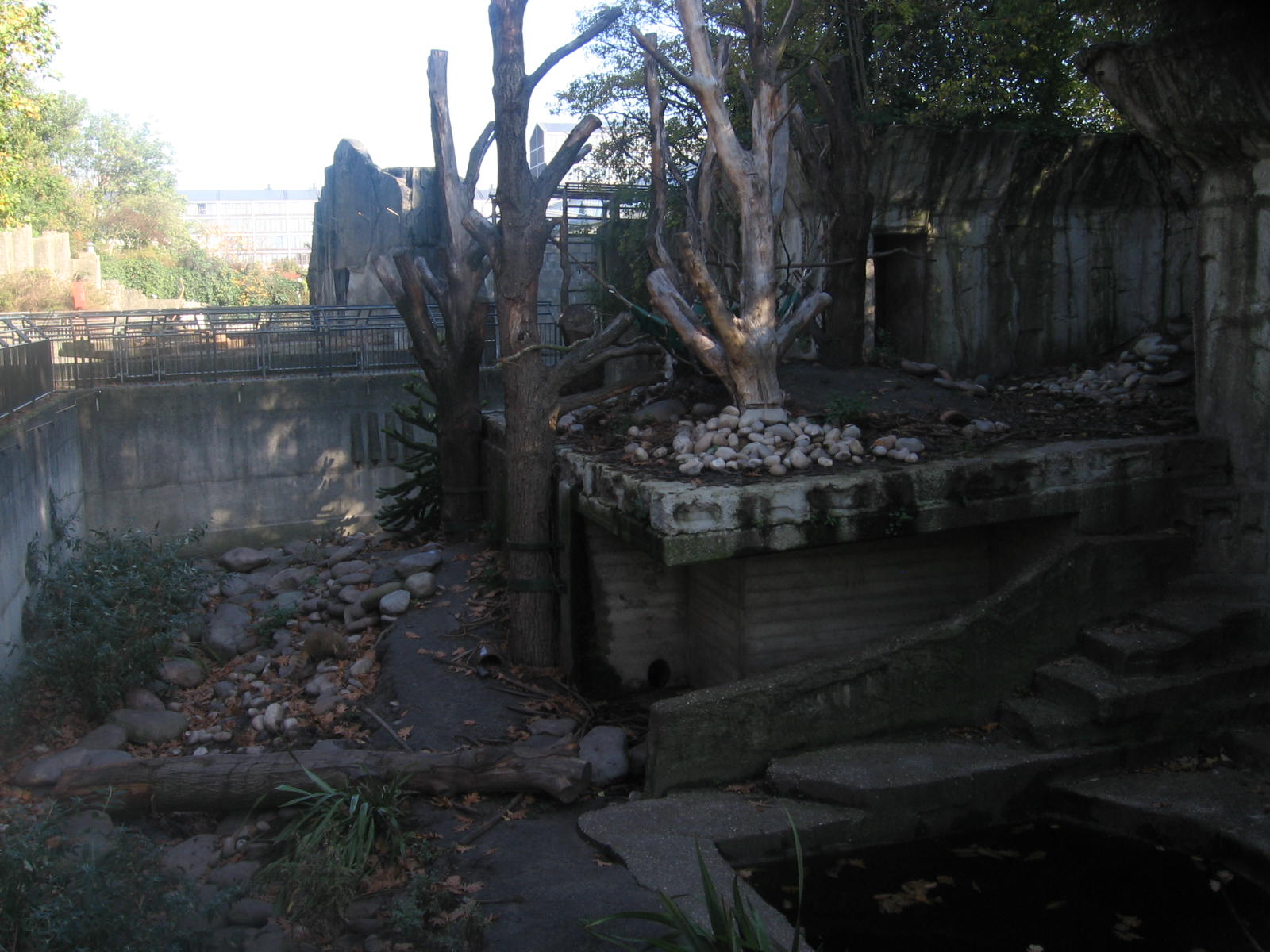 former slothbear enclosure