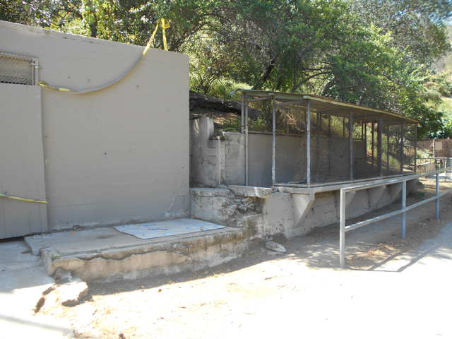 Former small animal displays