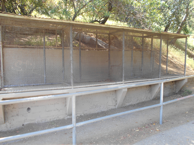 Former small animal displays