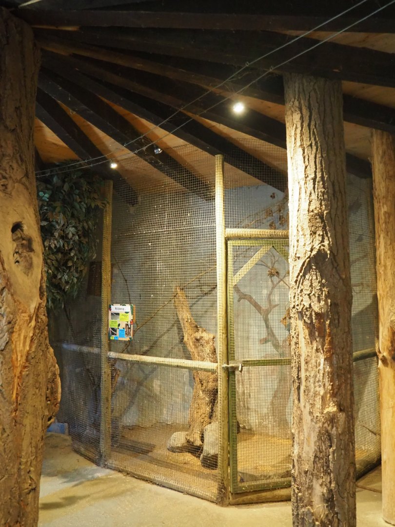 Former small owl cage, thankfully empty now, 2019-08-04