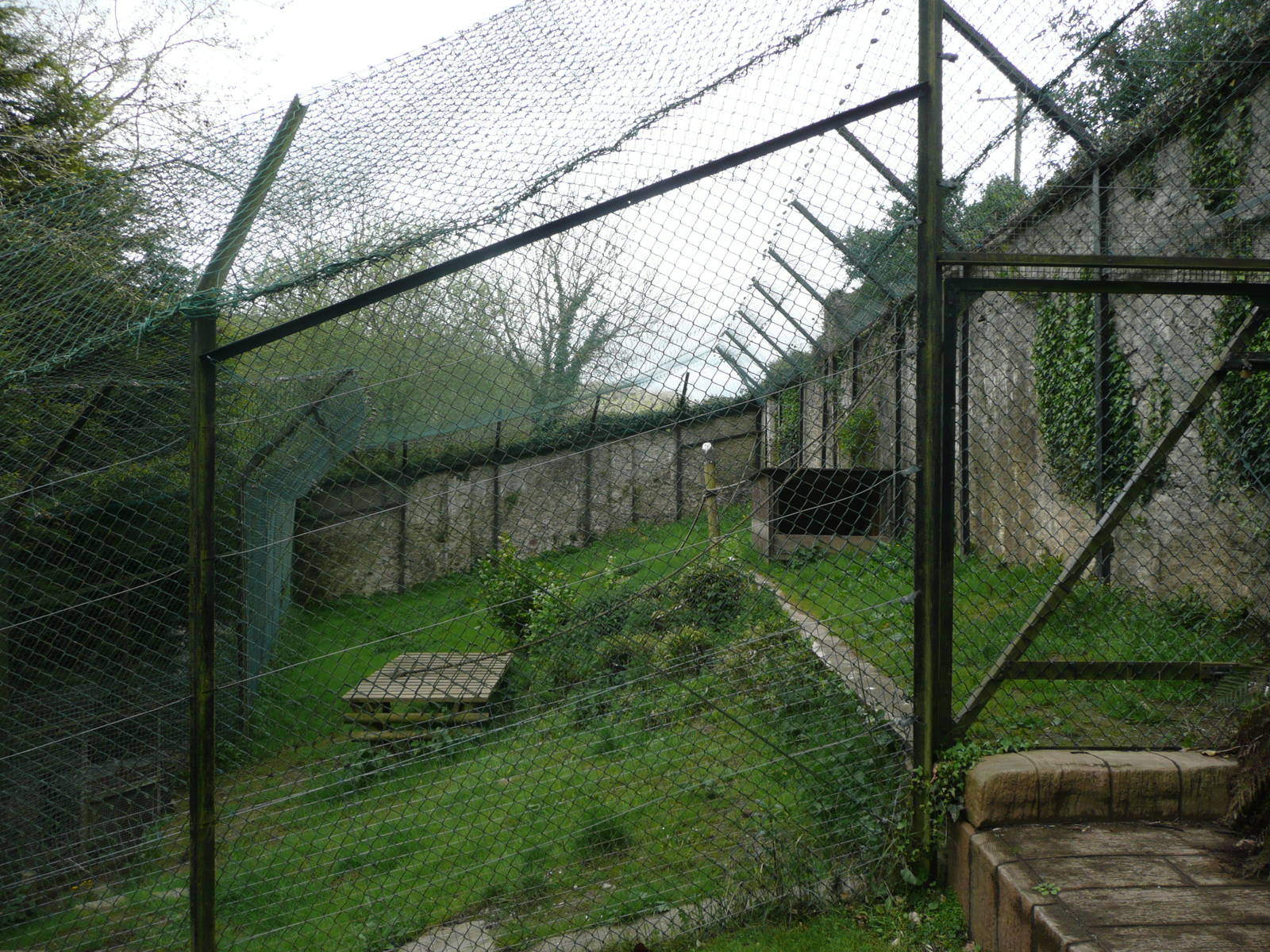 Former Snow Leopard Enclosure