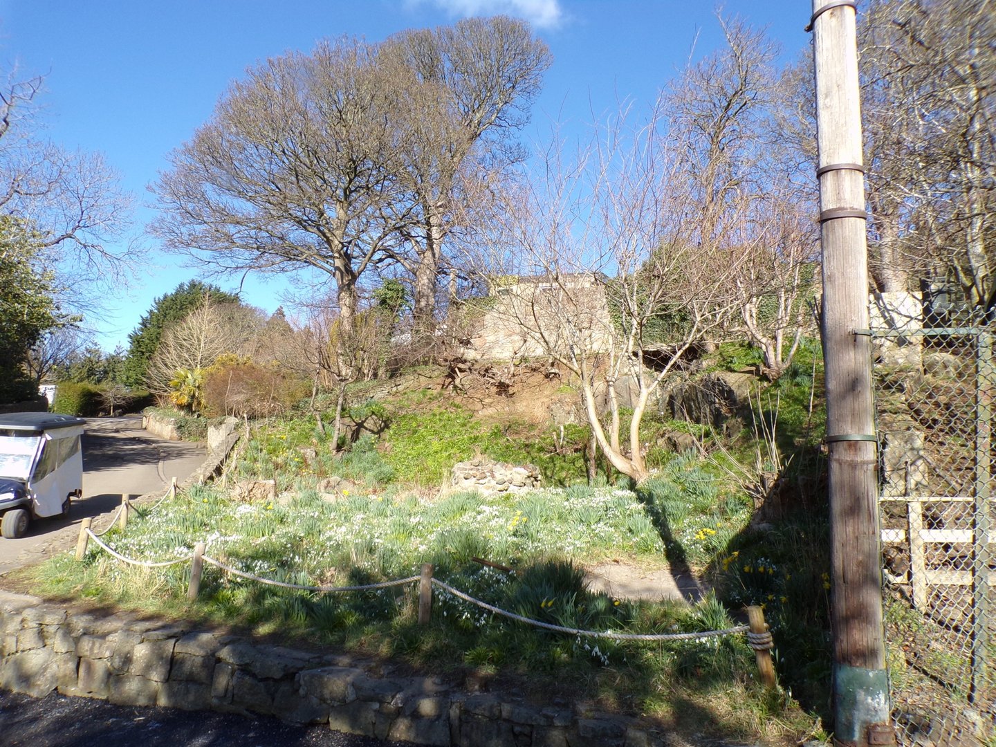 Former snowy owl aviary  11.3.23