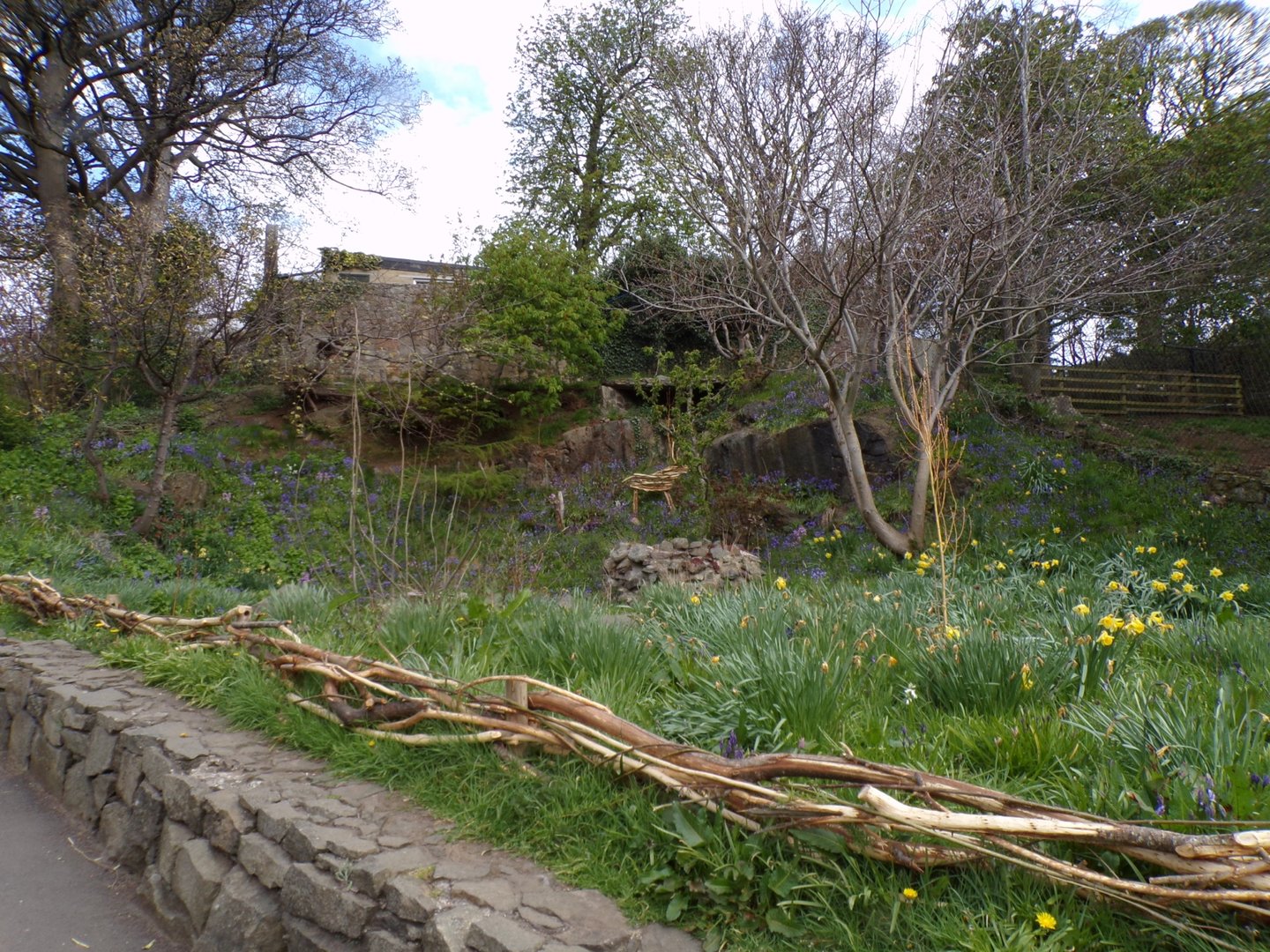 Former snowy owl aviary  22.4.23