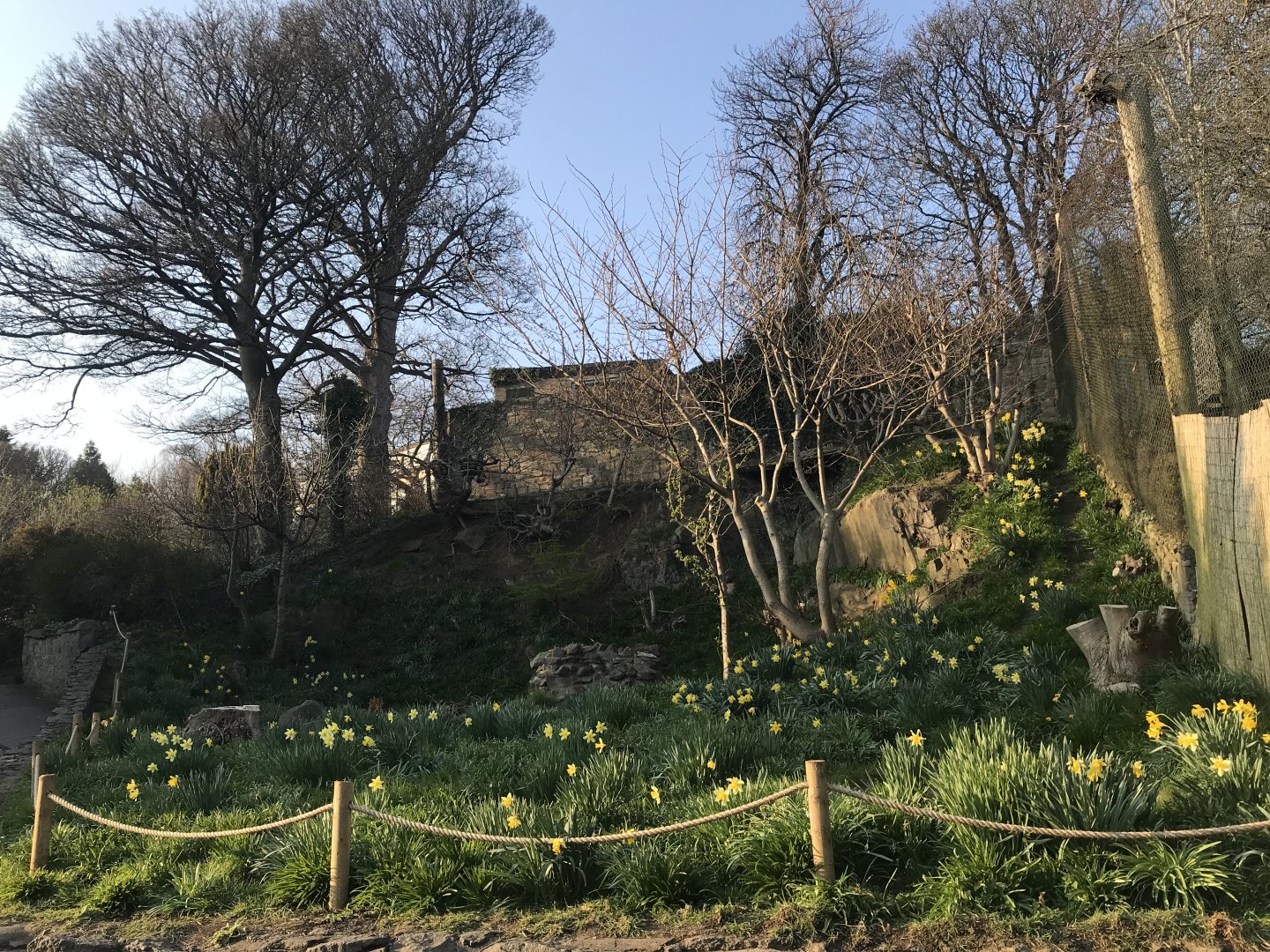 Former snowy owl aviary