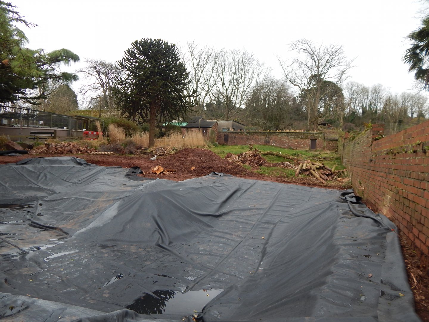 Former South American tapir enclosure 050224