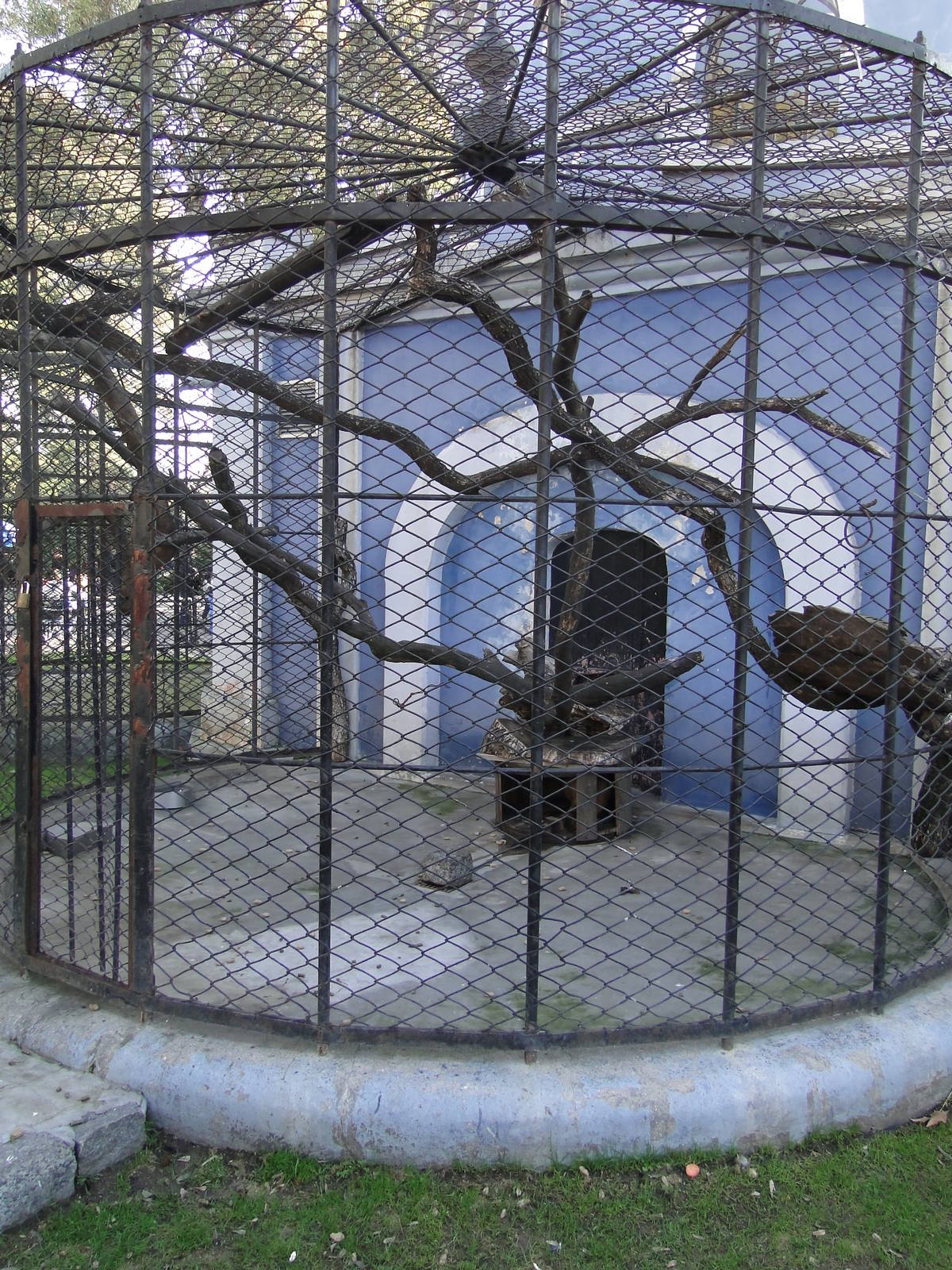 Former Southern Tamandua Cage