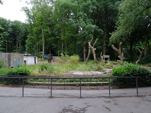 Former spectacled bear enclosure - now empty  (07/22)