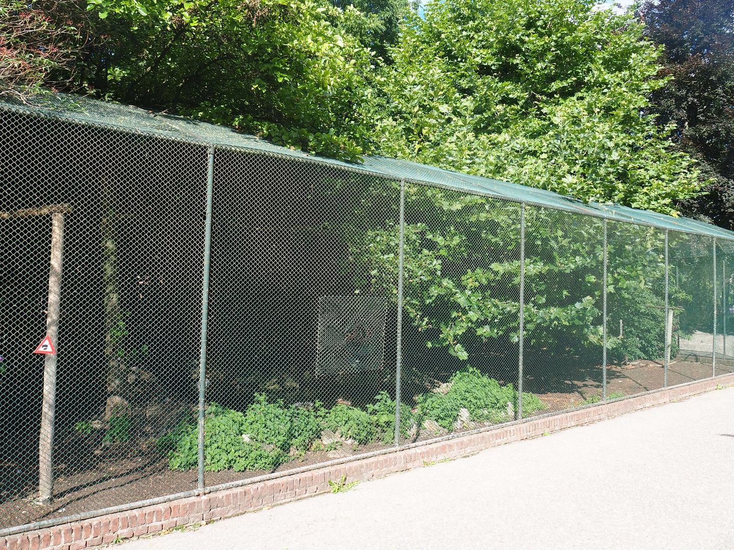 Former Steller's sea eagle aviary - Now mixed waterfowl aviary, 2022-08-28